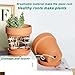 vensovo 4 Inch Terracotta Plant Pots with Saucer - 6 Pack Clay Flower Pots with Drainage, Great for Plants, Crafts, Wedding Favor