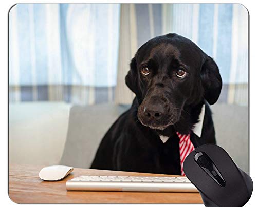 Preisvergleich Produktbild Mauspads, Gaming-Mauspad, Hund - genähte Kanten