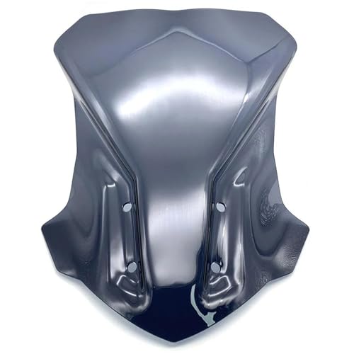 Visière G310GS bulle de protection moto pour les longs voyages et roadtrips