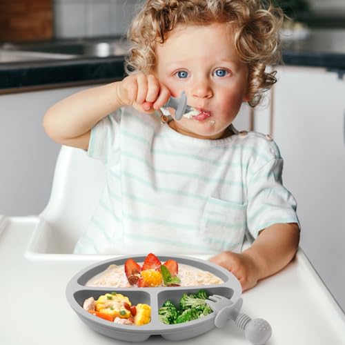 Image of Eascrozn Silicone Baby Utensils, 2 Pack Divided Suction Plates for toddlers, 2 Pack Toddler Forks and Spoons Set, Baby Led Weaning Feeding Supplies, BPA Free, Microwave and Dishwasher Safe