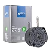 Schwalbe