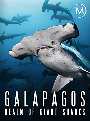 growing up shark book - Galapagos: Realm of Giant Sharks