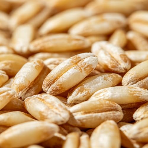 Barritas de proteína con semillas de chía y avena miniatura 7