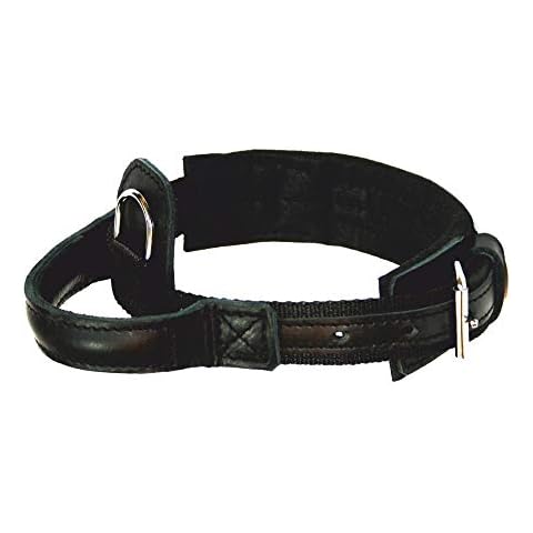 Collar Dingo Gear 1977 Hero para Perro Cover