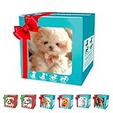 【Portable y tierno divertido】: Este cachorro robot es compacto, liviano y suave al tacto, lo que lo hace ideal para viajar o abrazar antes de acostarse, ya sea en casa o en movimiento, es su fiel compañero.