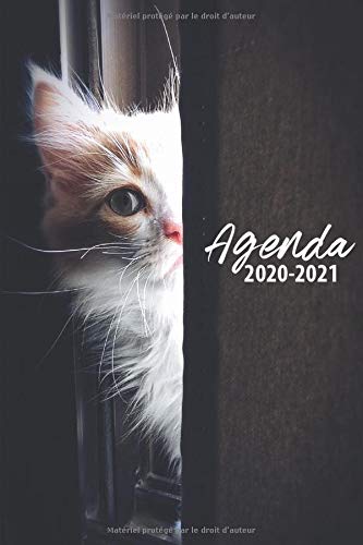 Télécharger agenda 2020 2021: organiseur scolaire (Septembre 2020 / Août 2021) pour étudiants collège, lycée Livre eBook France