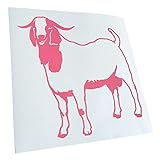 ✔️Durable : les autocollants ont une durée de vie entre 3 et 5 ans et sont résistants aux acides, aux alcalis et aux influences environnementales. Le matériau utilisé est excellent pour une utilisation en intérieur et en extérieur. Le film est résistant aux UV et aux intempéries. Parfaitement résistant aux intempéries.