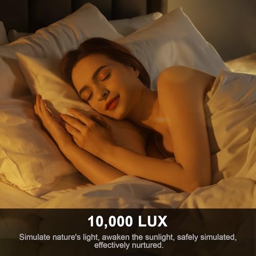 Image of Light Therapy Lamp 10000 Lux UV-Free Sun Floor Lamp, 360 Gooseneck Happy Lamp with 5 Colors & 5 Brightness Levels & Remote Control + Touch Dual Control (Black)