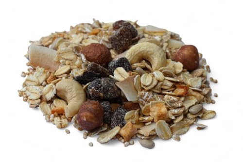 HAFERFLOCKEN Früchte Nuss BIO Müsli I mit vielen Früchten I ohne Zuckerzusatz (enthält von Natur aus Zucker) I Vegan I Amaranth I Kokoschips I 600g