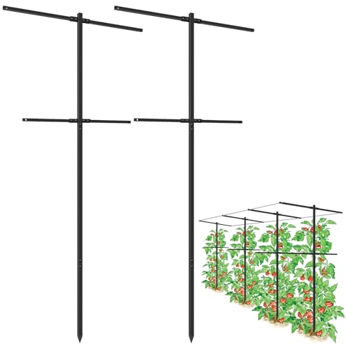 2 Pack Metal Detachable Raspberry & Grape Vine Trellis for Climbing Plants Heavy-Duty 7 Ft Tall Large Vineyard Trellis Support Sturdy Garden Stakes for Outdoor Raised Beds Vegetables Fruits Flowers
