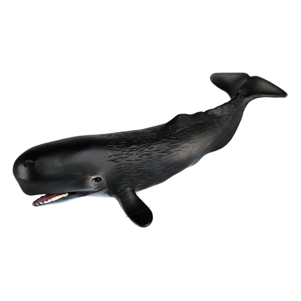Ocean Whale Figures Animals Shark Sea Life Marine Educational Toys for Kids Sperm Whale D | Educational | Other Educational Toys-image-47
