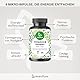 evenPure® Vitamin B Komplex – 180 Kapseln – alle 8 B-Vitamine plus 2 Kofaktoren – bioaktive Formen, hochdosiert und vegan – in Deutschland hergestellt und laborgeprüft.