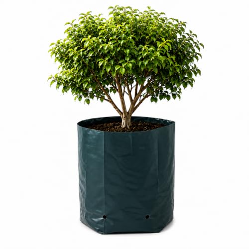 Image of Go Garden Grow Bags for Plants 12 x 18 Inch (Pack of 50) | UV Protected Plastic Nursery Grow Bags | Heavy Duty Black Poly Plant Bags