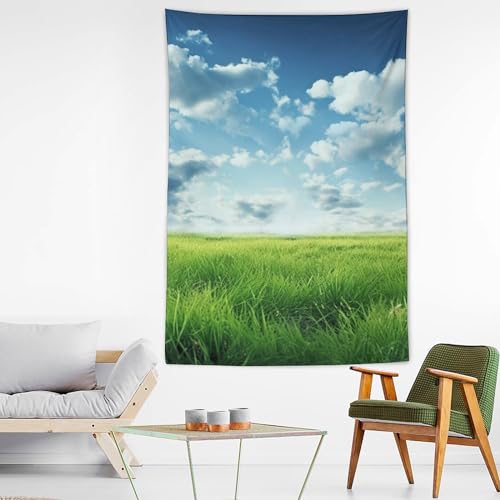 Tapisserie murale nuages chambre decoration interieure salon et dortoir