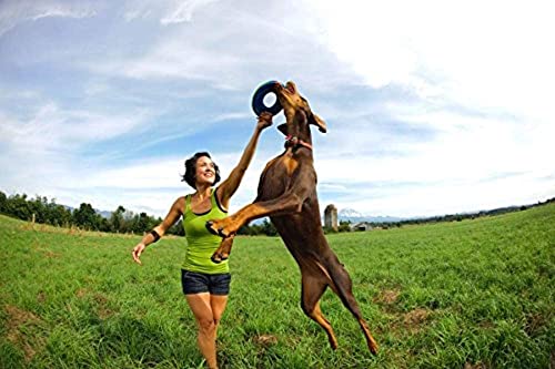 Chuckit! Zipflight Medium | Doppelpack | 2 Stück | Frisbee für Hunde | 21 cm Durchmesser | Weich und dennoch sehr robust | Unsinkbar | Aus hochwertigem Neopren hergestellt