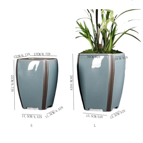 Pot de fleurs d'orchidées en céramique de taille petit modèle haut