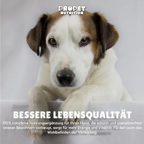 W-kur Hund Natürliche Abwehr gegen ungebetene Gäste – Darmwohl Hund – 120 Tabletten – Natürlicher Kräuterkomplex mit Probiotika & B-Vitaminen – Unterstützung des Darmmilieus & inneres Gleichgewicht