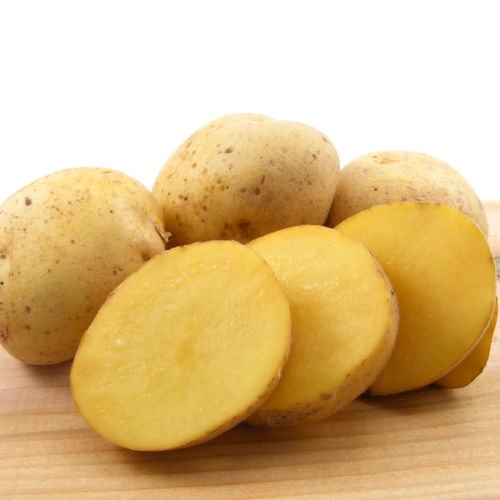 Grow Your Own German Butterball Seed Potatoes An Easy Guide