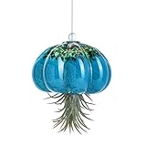 H&D HYALINE & DORA Handmade Blown Glass Hanging Jellyfish Air Planter for Live Succulent Air Plants (No Plants)