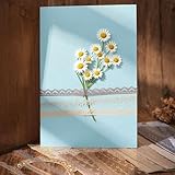 Zoom IMG-2 160 adesivi in pizzo per Zoom IMG-2 160 adesivi in pizzo per