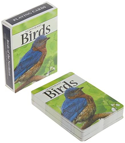 Birds Of The Northeast Playing Cards (Nature's Wild Cards) #TOP2
