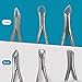DEXA DENTAL Heavy Duty Dental Extracting Forceps # 150# 151# 23, Apical Forceps, Cowhorn Forceps, Lower Molars, Atraumair - 3 Pcs