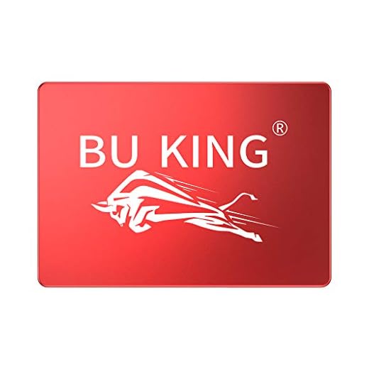 BU KING SSD 120 Go SATA3 Interne Disque SSD 2,5 Pouces jusqu'à 300 M/S Red Bull Head/Red