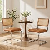 Japard Dining Chairs Set of 2, Modern Mid Century Upholstery, Rattan Cantilever Armless with Metal for Bedroom Living Room Kitchen Brown 333 lbs