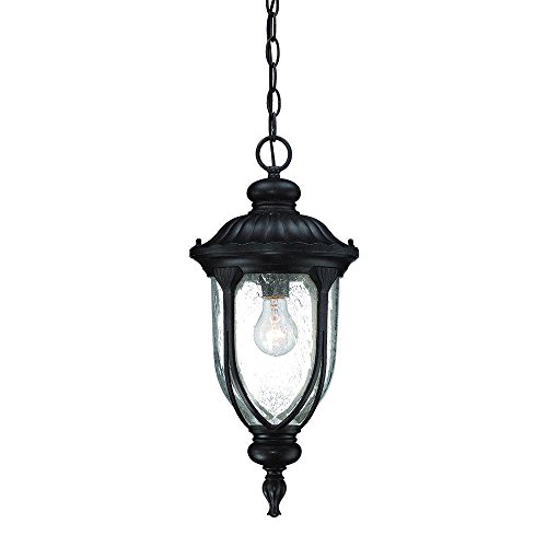 Acclaim 2216Bc Laurens Collection 1-Light Outdoor Light Fixture Hanging Lantern, Black Coral #TOP17