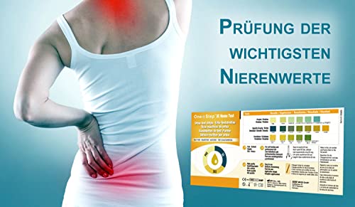 Nierentest - Urin Teststreifen