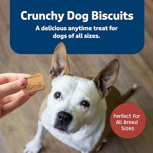 image for Blue Buffalo Mini Health Bars Crunchy Dog Biscuits, Oven-Baked With Na