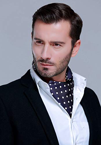 HISDERN Ascot Tie Mens Formal Cravat Ties Floral Paisley Polka Dot Jacquard Self Ascots Cravat Scarf Wedding Party - Thumbnail 3