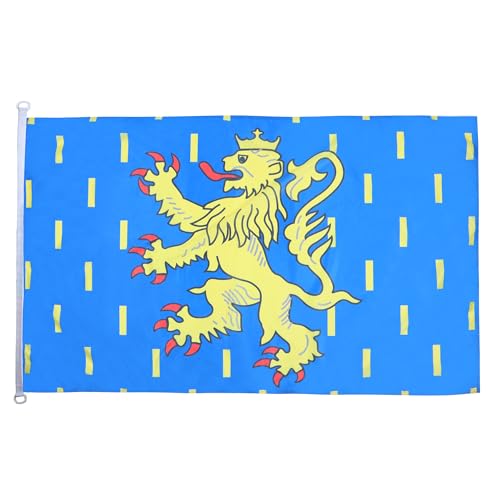 Drapeau Franche-Comté maille bloquée 150x90 cm haute résistance pour extérieur - 2