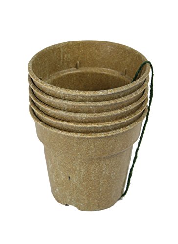 Barn Eleven Biodegradable Starter Pots for Seedlings Cuttings and Plants, 4
