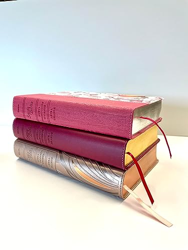 Santa Biblia Ntv, Edición Personal, Letra Grande (Letra Roja, Sentipiel, Rosa): Nueve Traduccion Viv