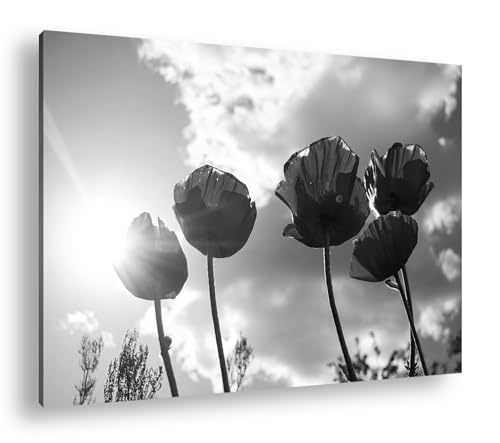 Coquelicots ensoleillés deyoli art mural poétique effet noir et blanc