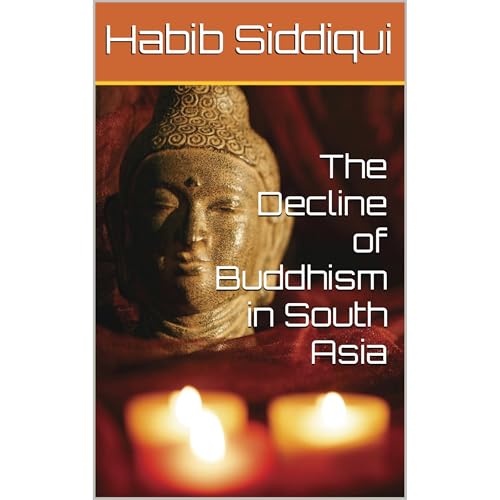 The Decline of Buddhism in South Asia -- Habib Siddiqui episode artwork