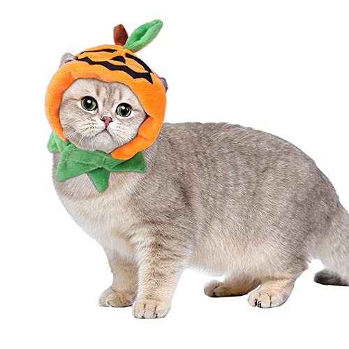 Sombrero de Halloween para gatos y perros pequeños miniatura 2