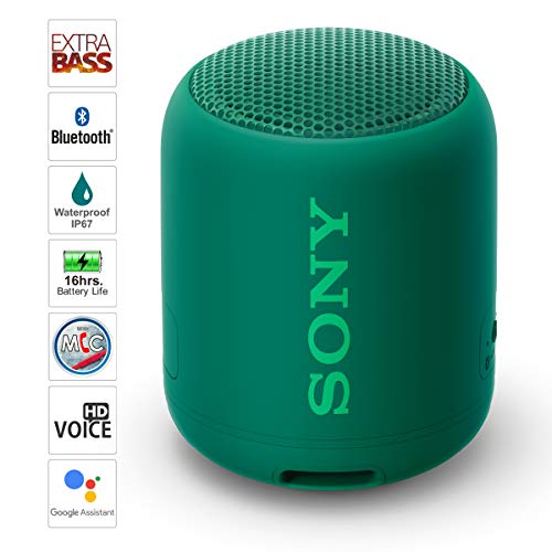 sony srs xb10 croma