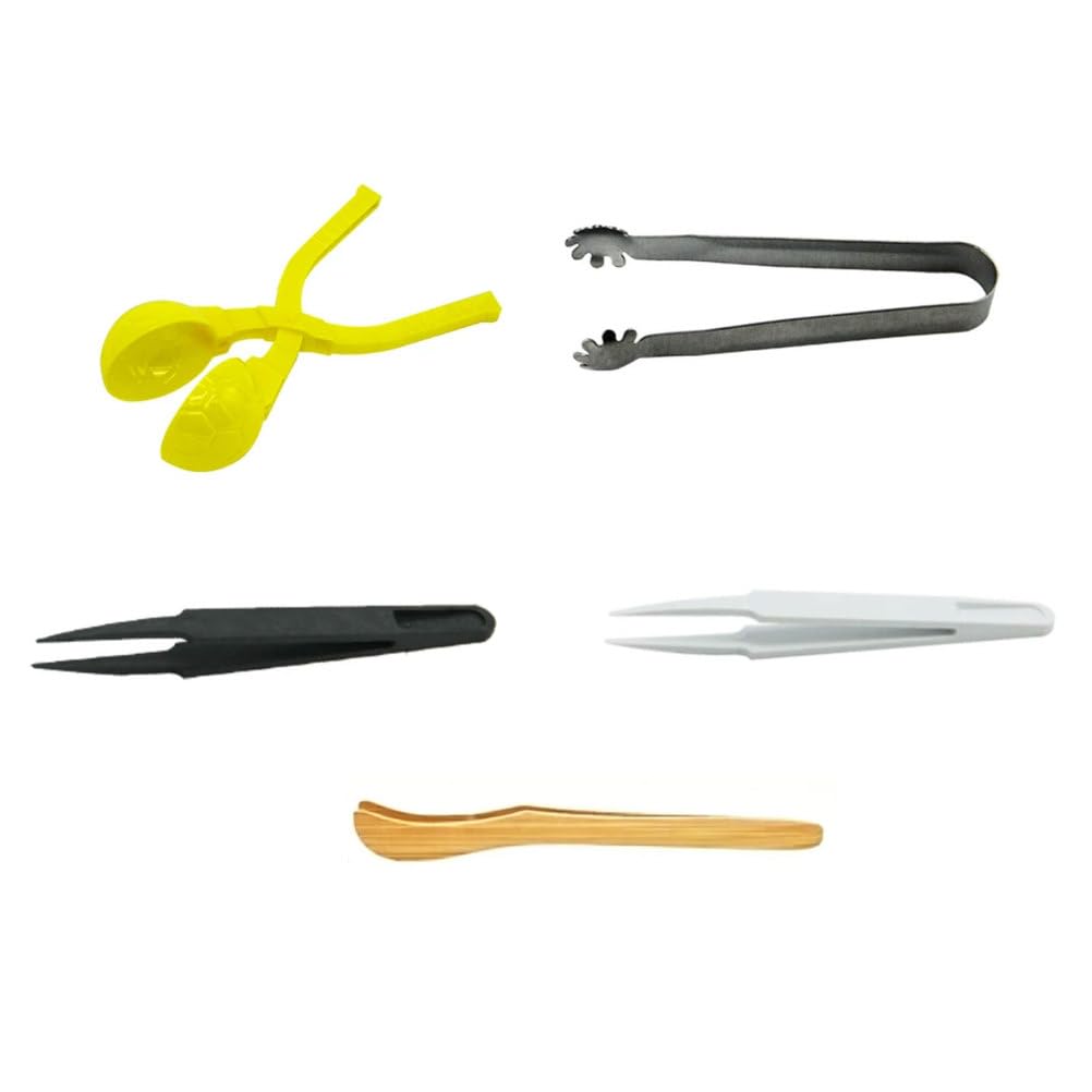 ttnmrc Montessori Fine Motor Tools Set - 5pcs Kids Tweezers & Tongs with Scoop, Claw Tongs, Plastic Tweezers & Wooden Tongs