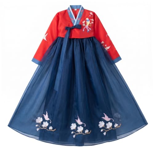 Robe hanbok traditionnelle coréenne chic pour masquer les formes avec élégance
