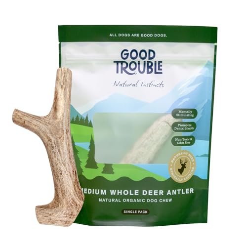 Good Trouble Premium Deer Antlers for Medium Dogs – 1 Whole Antler Pets - North American Sourced for Dental Health & Anxiety Relief - Odor-Free & Non-Toxic Chew Bone for Dogs -  SNGLDEERMD