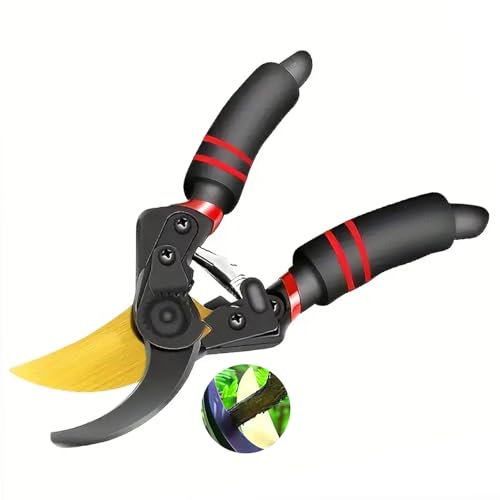 ΂ |p SK5|n ͂ hKH Ў葀 y ~߃Obv }Ή  K[fjO H pr }؂ ~ ʎ pnT~ (ubN)