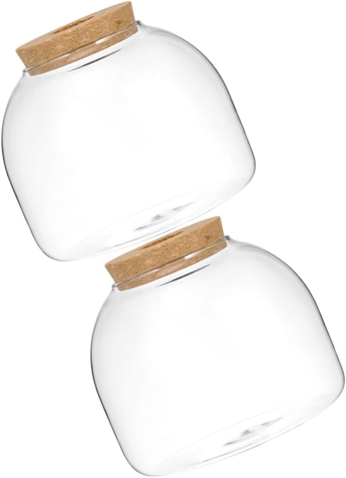 Yardwe 2pcs Glass Terrarium Bottle for Microlandscape Elegant Design for Plants Moss and Decorative Use Compact and Hydroponic Storage Jar