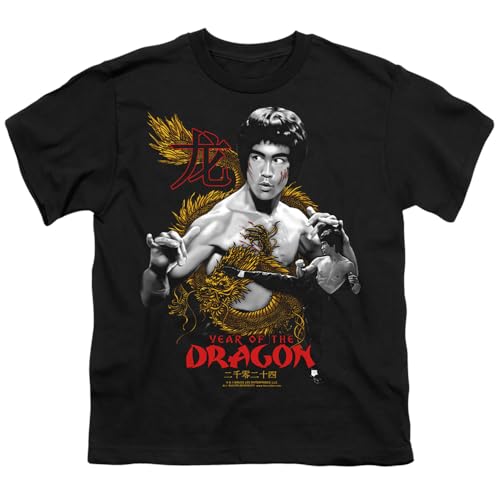 Popfunk Year of The Dragon Collection Kids T-Shirt for Youth Toddler Boys and Girls2