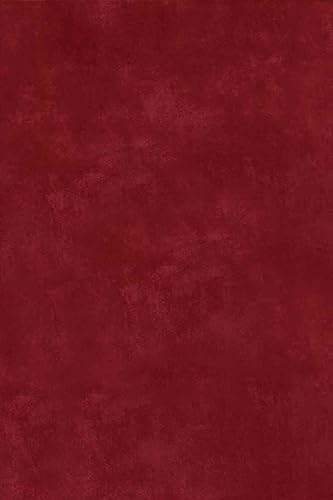 Miniatura 3 de LaModaHome Alfombra antideslizante  Rojo Rojo Delgada, Lavable Suave, Lavable a máquina, Alfombra de Dormitorio para Interior y Exterior Alfombra de