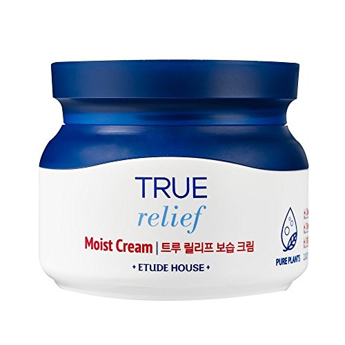 Etude House True Relief Moist Cream 60ml
