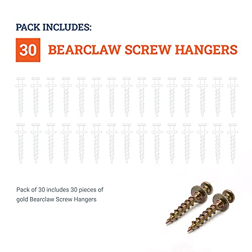 Bear Claw Screw Picture Hanger Gold - 30lb Picture Hooks - 4-in-1 Picture Hanging Screws for D-Rings, Sawtooth, Wire and Keyholes - Mounts in Drywall and Wood Studs 30 Pack Screw Anchors