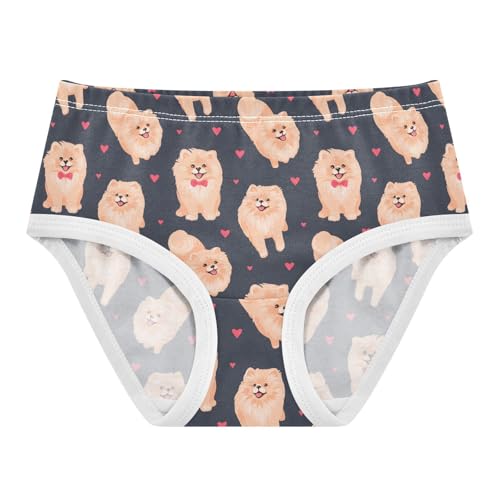 Little Girl Underwear Toddler Panties Kids Undies Pomeranian Dog Soft Cotton Briefs 2T-8Y