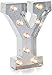 Darice Silver Metal Marquee Letter 9.875"-Y